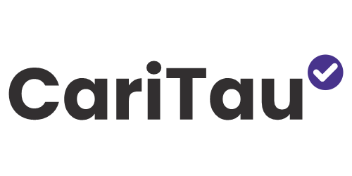 TEMU INFO Logo
